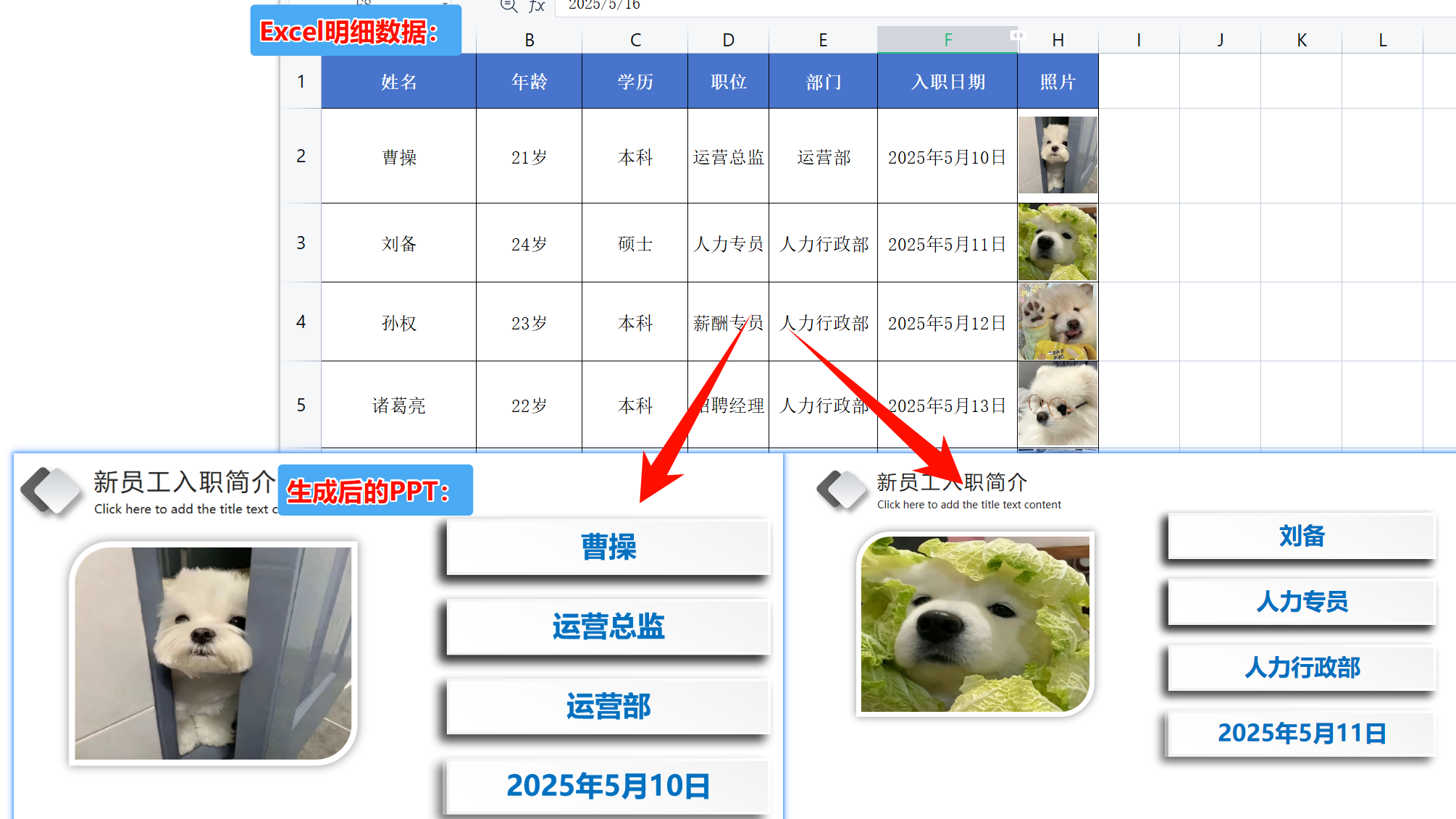 Excel数据生成多个PPT效果预览