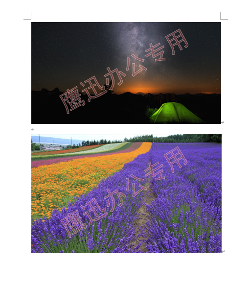 word中的图片加水印处理后