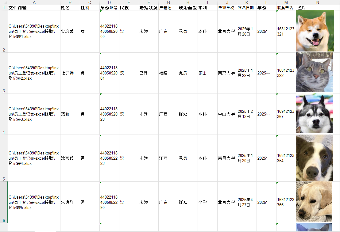 提取excel表格内容提取结果