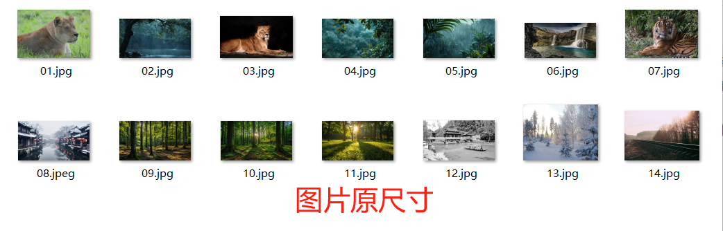 批量裁剪/旋转/翻转处理前效果