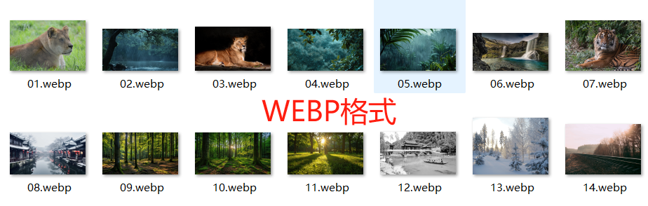 图片批量转WEBP格式处理后效果预览