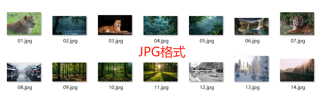 HEIC格式图片批量转JPG功能选择