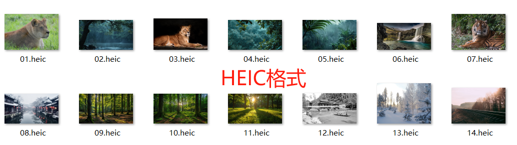 HEIC格式图片批量转JPG格式效果预览