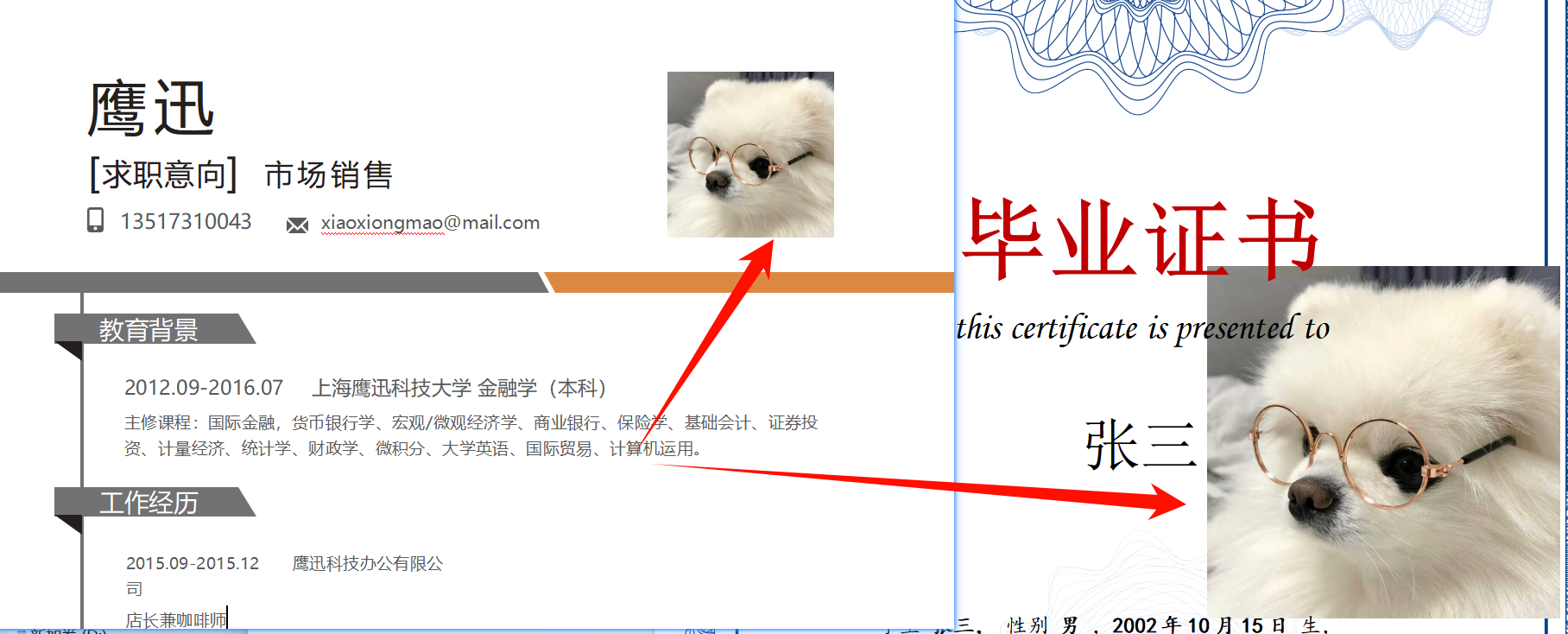 提取word文档中的图片功能选择