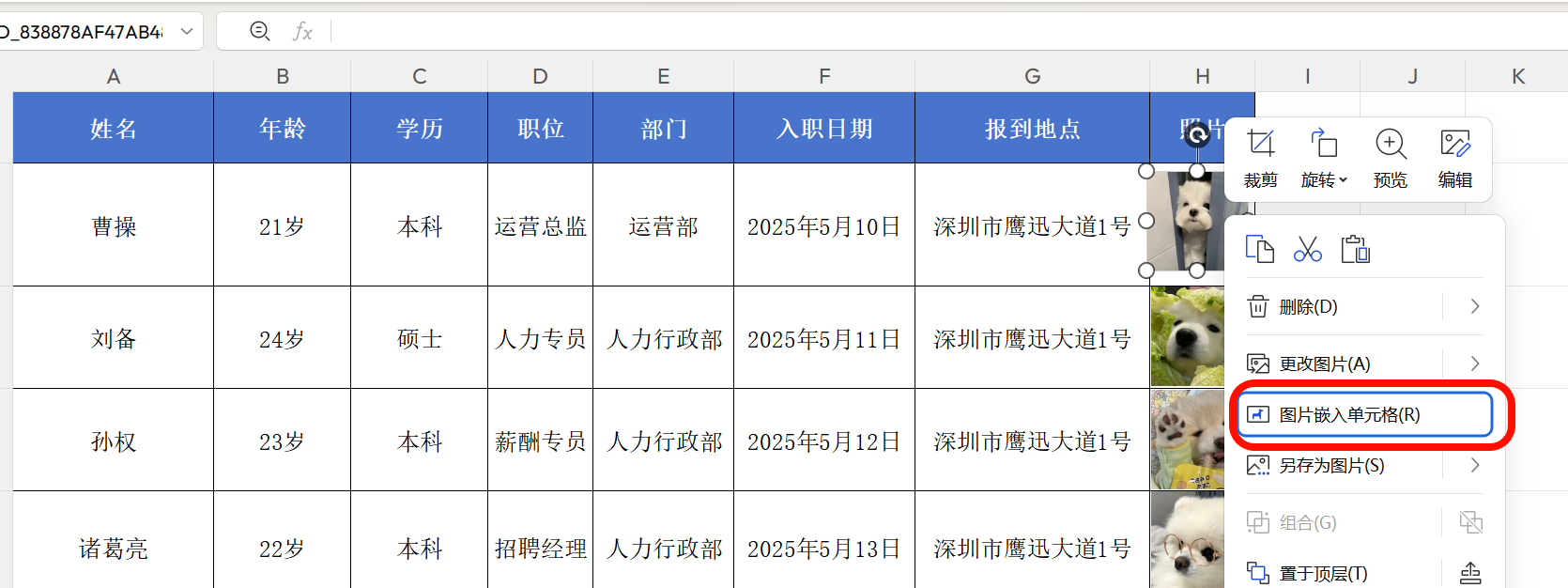 wps嵌入图片方法二