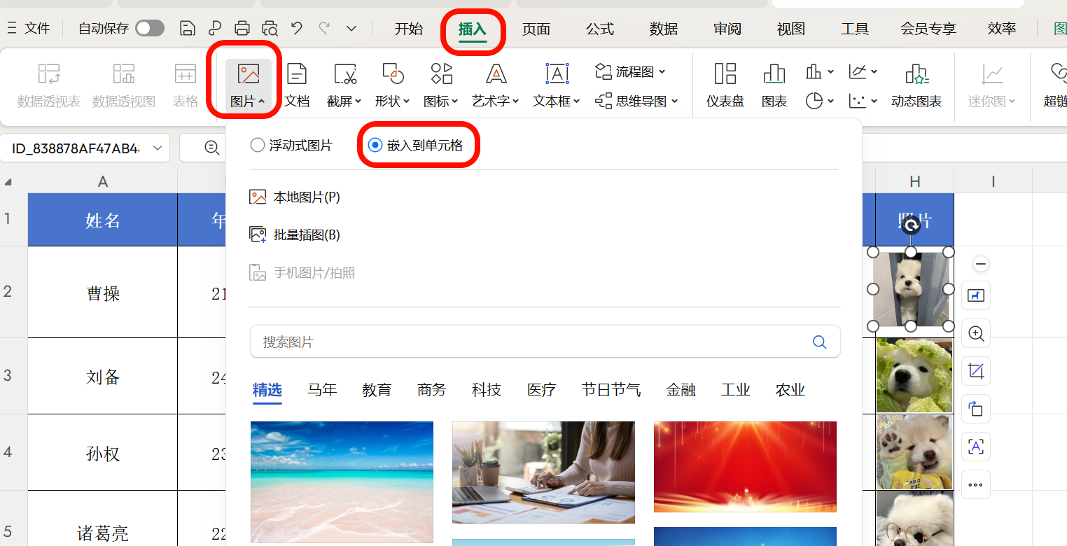 wps嵌入图片方法一