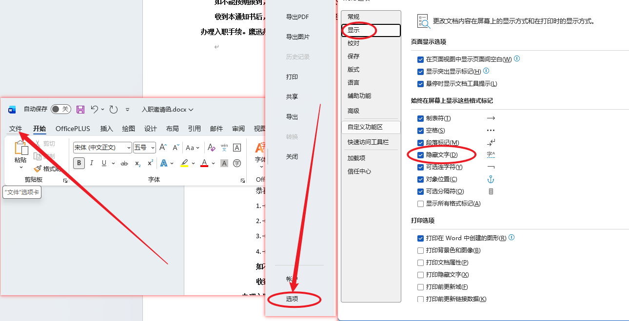 隐藏的文字如何显示