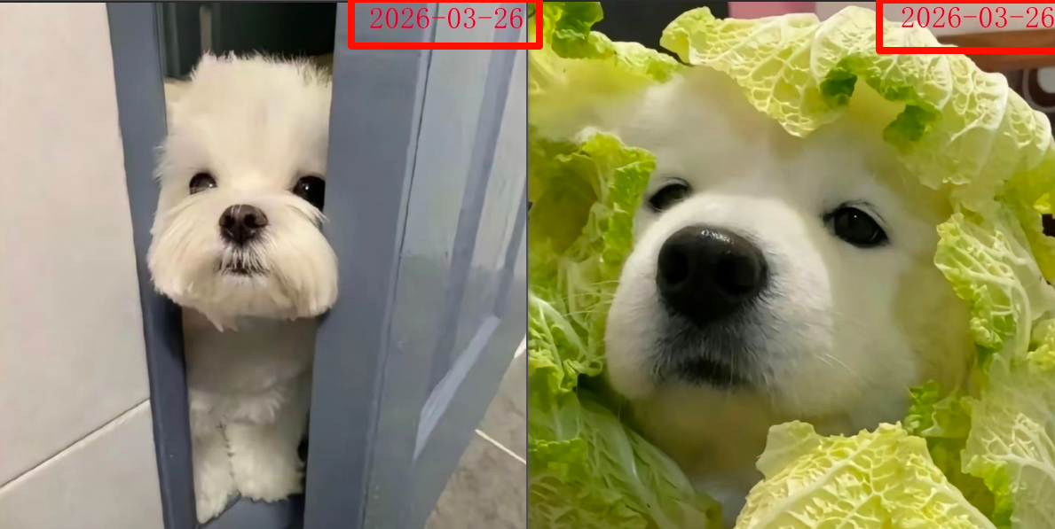 去除多张图片同一位置文字处理前效果预览