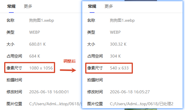 WebP图片统一调整尺寸等效果预览