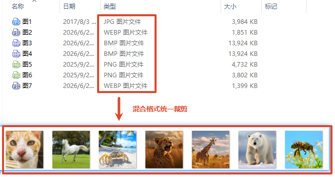 多格式混合图片批量裁剪处理效果预览