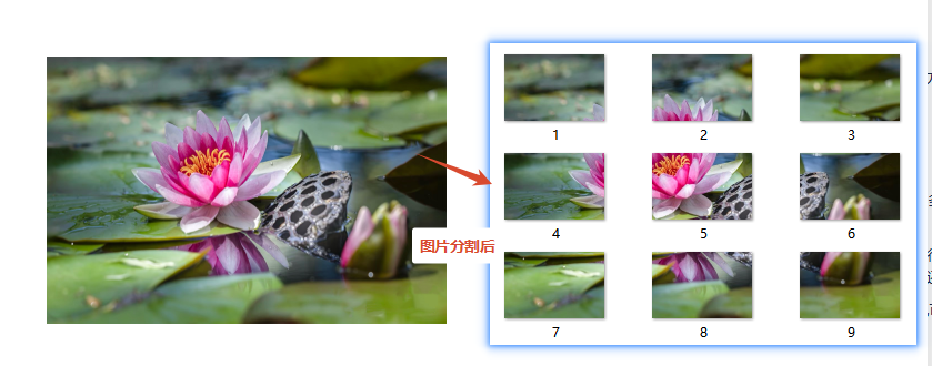 图片批量自定义分割效果预览