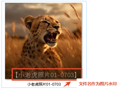 文件名作为水印批量添加效果预览